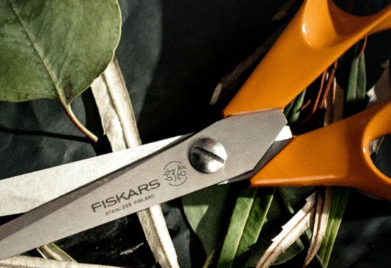 Nel 2024, Fiskars celebra il suo 375° anniversario con eventi e prodotti