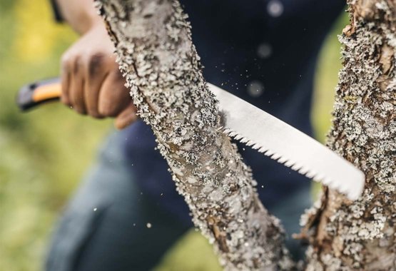 Un uomo taglia il ramo di un albero con una seghe per la potatura Fiskars.